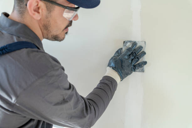 Best Water-Damaged Drywall Repair  in Afton, MN