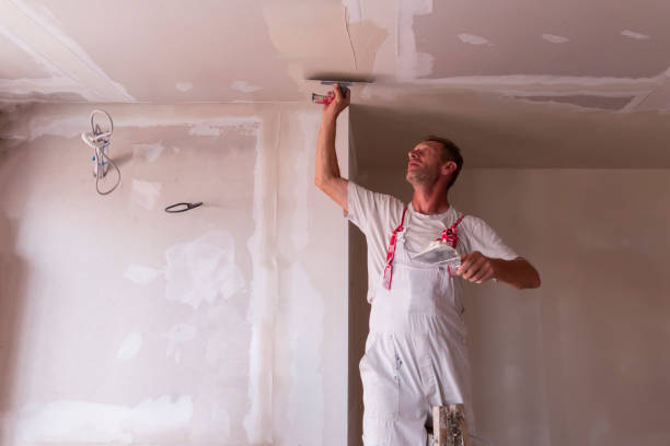 Best Ceiling Drywall Installation  in Afton, MN